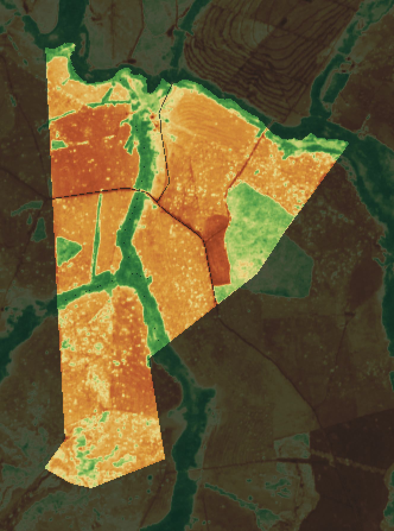 NDVI da fazenda parceira em setembro de 2026.