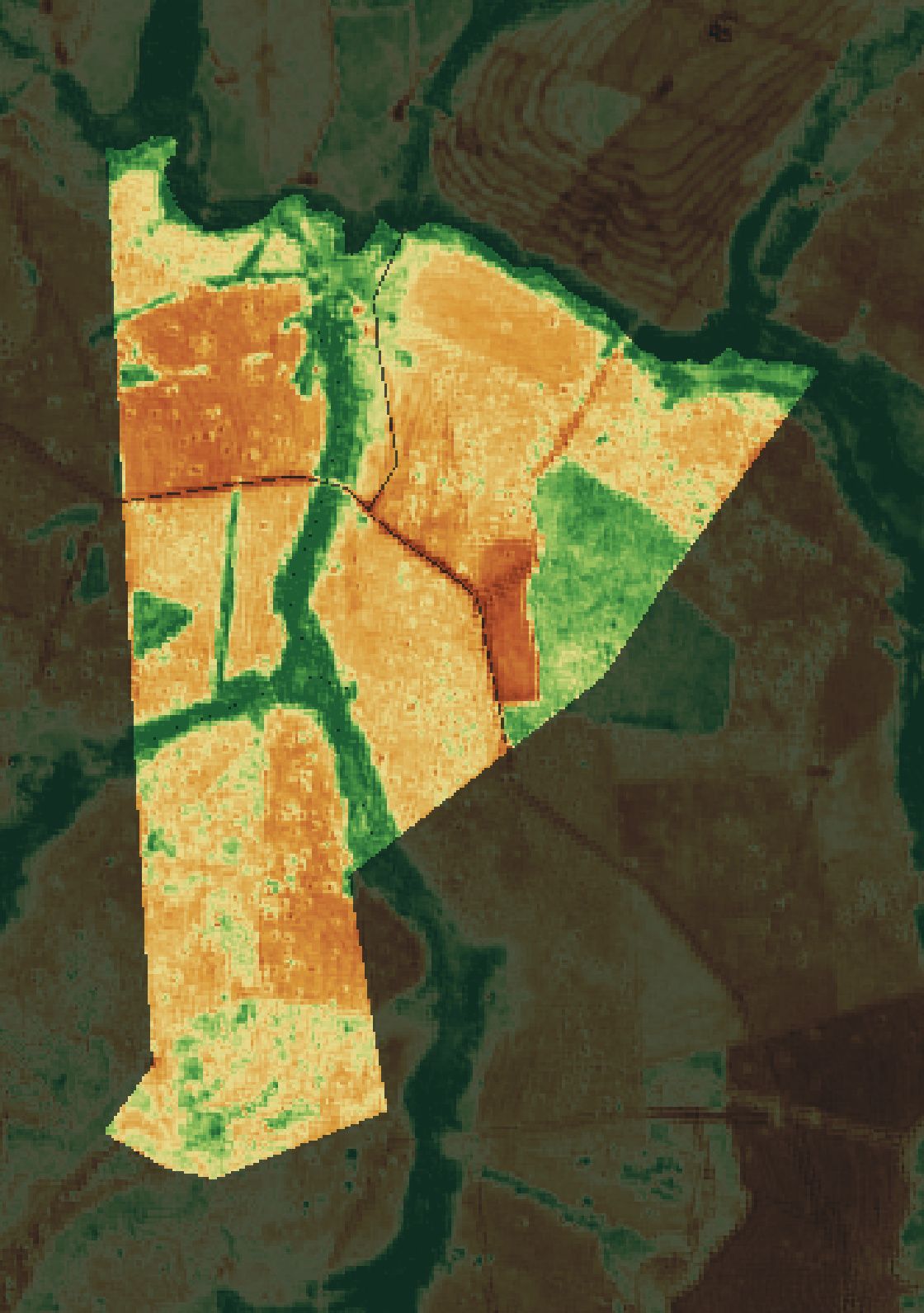Mapa NDRE da fazenda parceira em Prata (MG).