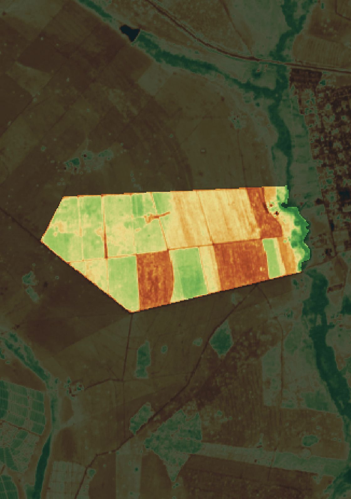 Mapa NDVI da fazenda parceira em São Francisco de Sales (MG).